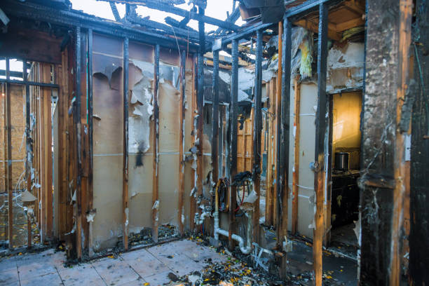 Professional Emergency Fire Damage Restoration technician working in Hamel, MN